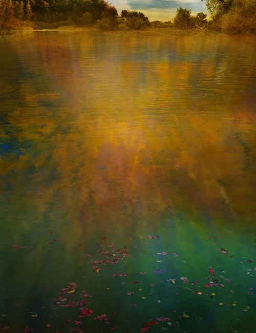 Giovanni Castell (German, b. 1962, Munich, Germany) - From Monet’s Garden series, 2015  Photography,