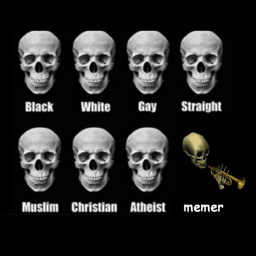 Featured image of post Human Skulls Meme Search the imgflip meme database for popular memes and blank meme templates