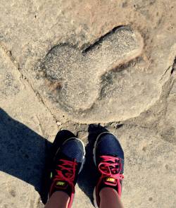 triggerwarningunfunny:  monetizeyourcat:  axelisgreat:  It turns out that in Pompeii, they used to mark the road with “arrows&quot; directing men to the nearest brothel. There are several of these throughout the city.  I like to call them pompenises.