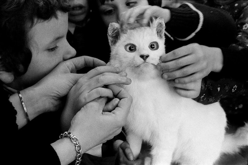 shihlun:
“Jane Evelyn Atwood, Blind children Learning What a cat feels like, 1981.
”