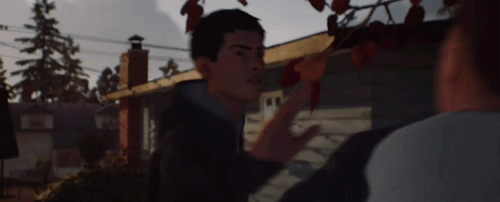 gaming-punk:Life is Strange 2 Official Reveal Trailer (x)