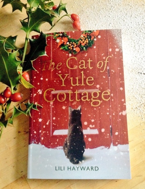 It’s official! The Cat of Yule Cottage is out in paperback this week. (Thursday 17th). Meanwhi