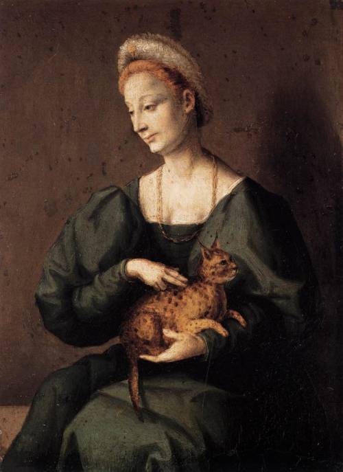 Portrait of a Lady with a Cat by Francesco Bacchiacca,1540s
