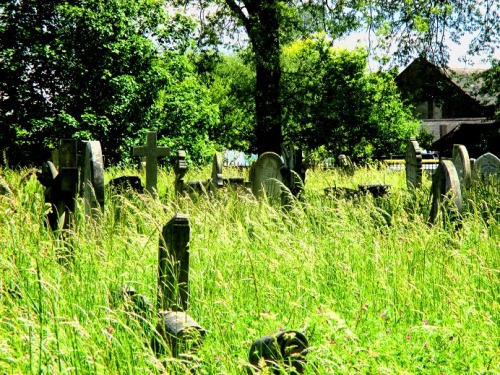 “Linen” - Brockley Cemetery, London, 2015(purchase here : http://shop.solstices-project.com/fr/home/