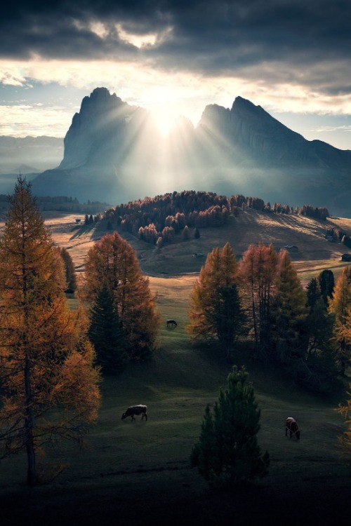 maureen2musings:A New StartMax Rive