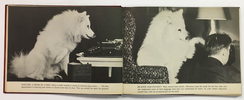 Sniejok the Samoyede dog was three years old when he wrote this book to teach dogs how to train thei