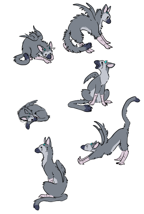 foldingfittedsheets:A bunch of Trico buddies! Hey look at this cutie! Do you like giving money to lg
