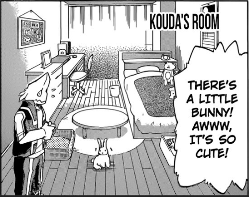 todomomo:littlegreenstrawberry:brodoroki:the boys’ roomsOkay but koudas room is so cuteAgree! I love