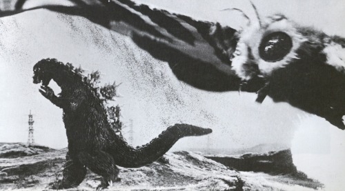 tfisher88:Mothra vs. Godzilla (1964), also known as Godzilla vs. The Thing.  KAIJU