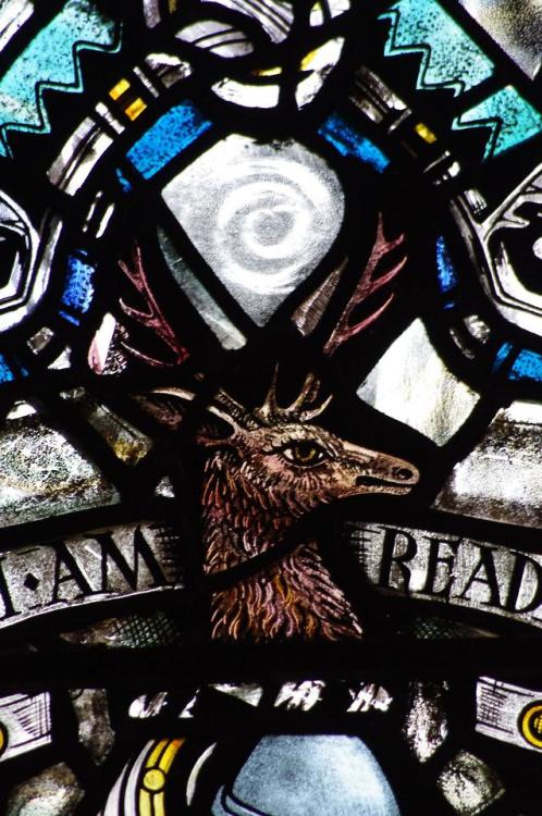 Stained glass details from Glasgow cathedral