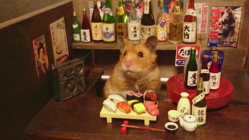 the-vortexx:  Hamsters as shopkeepers!  