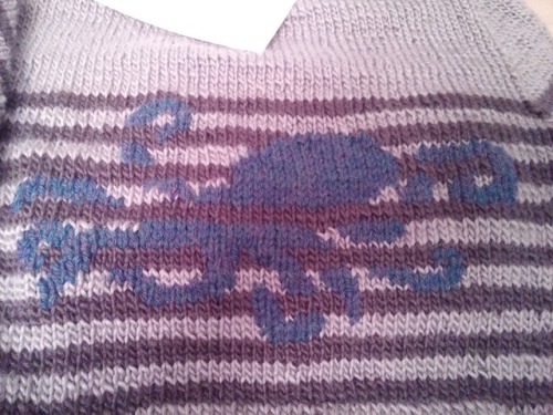 sweatersforbunnies: Pictures of my octopus slowly forming in between the stripes of my sweater. My f