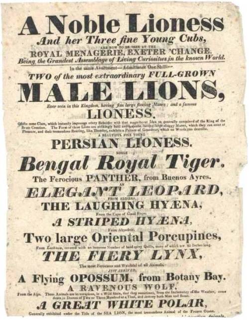 dastierreich:Handbill for the Exeter ‘Change Menagerie (c1800-1829. the Bramwell Taylor Collec