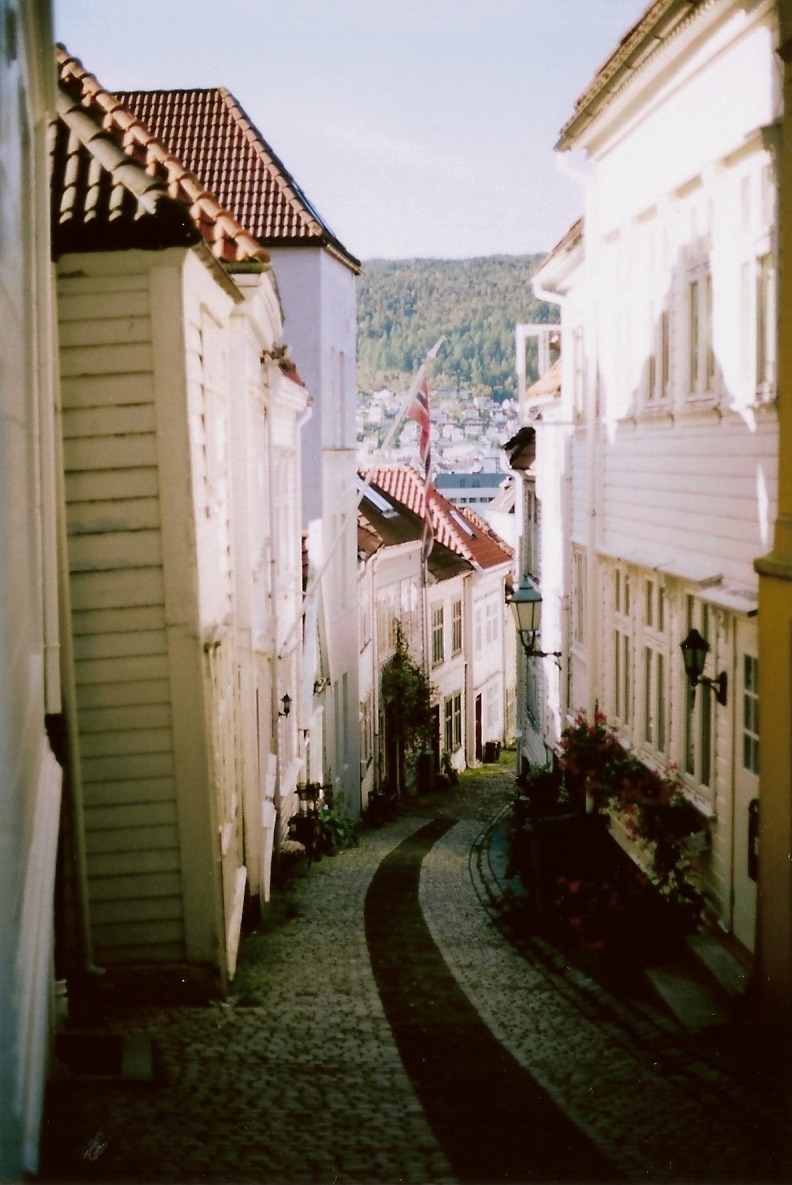  nature &amp; vintage blog 