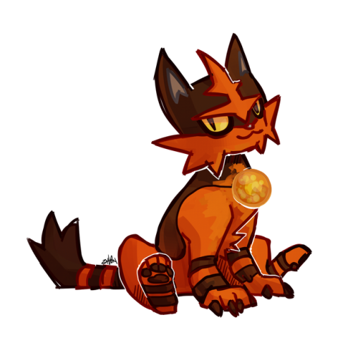 Have a torracat on this fine monday night