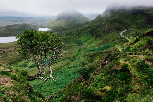 westons-adventures:Adventuring the windy, cold Quiraing on the Isle of Skye. 