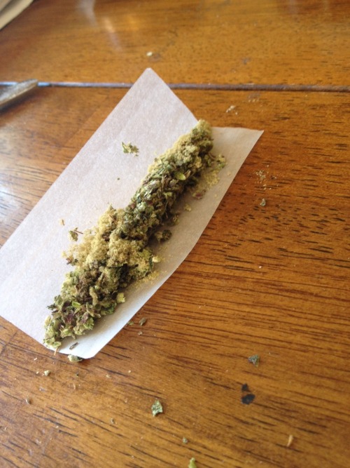earliest-contentiousness:  mmmmmh that joint with a bit of kief 