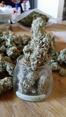 Its Marijuana Blog