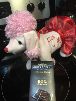subbybaby:  My belated vday presents from Sir!! A puppy and my fav choccy!!!!!  Thank you Poppop I love you!  Of course baby. Papa loves his little star!