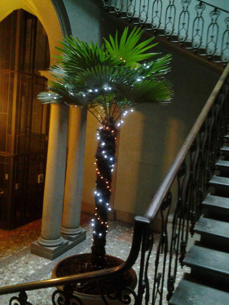 the christmas tree at my school : ^ )
