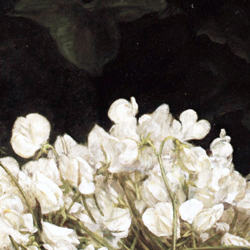 caravaggibro:Poynter, Edward J. Pea Blossoms. Detail. 1890. Oil on canvas. Private Collection, n.p.