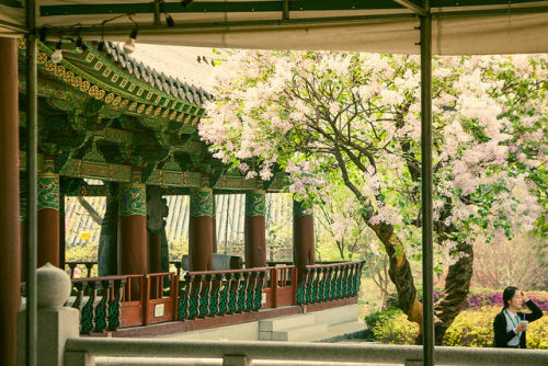 fuckyeahjapanandkorea:  Bongeunsa Temple, Seoul by Jirka Matousek 