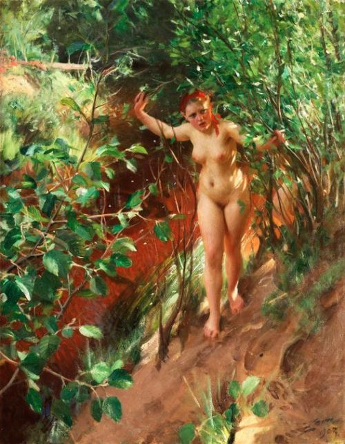 Anders Zorn Nudes &amp; Noises  