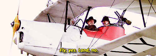 peregrin-fool-of-a-took:is this how Harrison Ford got in that plane accident?