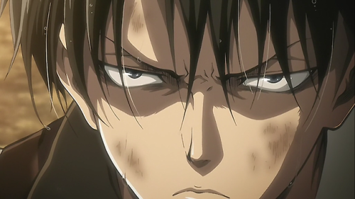 lunaaisabelles:LEVI & MIKASA “I-DONT-HAVE-TIME-FOR-YOUR-SHIT” ACKERMAN.