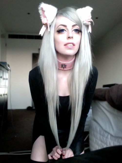 mortician:  Sir’s Arctic Fox. &lt;3 