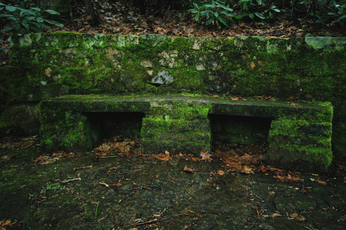 :Stone Bench | GarettPhotography