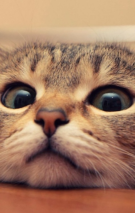 imgfave:  Posted by ☺ISABEL♥ 