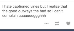 captioned-vines:  captioned-vines:  captioned-vines: