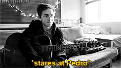 Pedrazar: A Summary