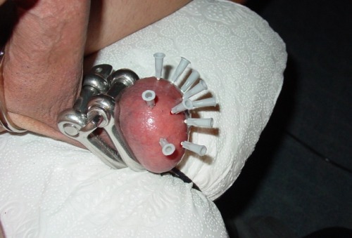 kankutya-blog:Nailed testicles by Bedrik