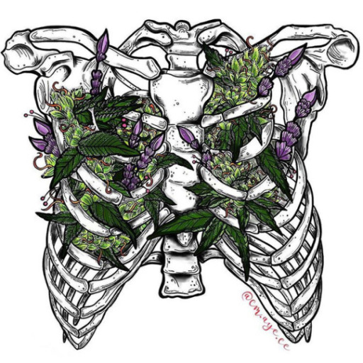 cosmic666suicide:Bonsai tree made from a Cannabis plant. 