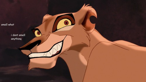 averlac:  tinyfieryexplosion:  i think about kovu in my spare time and shouldnt be allowed to touch computers  this is the only one of these that is actually funny 