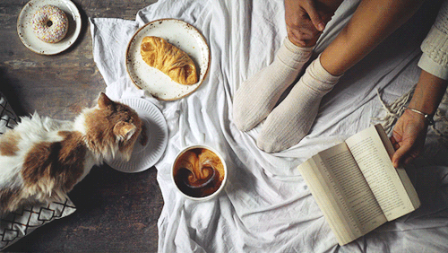 enjoy-the-life-baby:Fall vibes