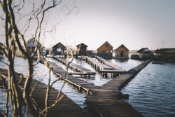 bonjour-ka:  Bokodi öreg tó by andrea piovanni on Flickr. Bokodi öreg tó 
