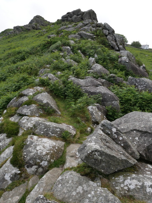 ‘Creigiau Gwineu’ Iron Age Hill fort, Llyn Peninsula, 11.6.17. This hill fort site offers excellent 