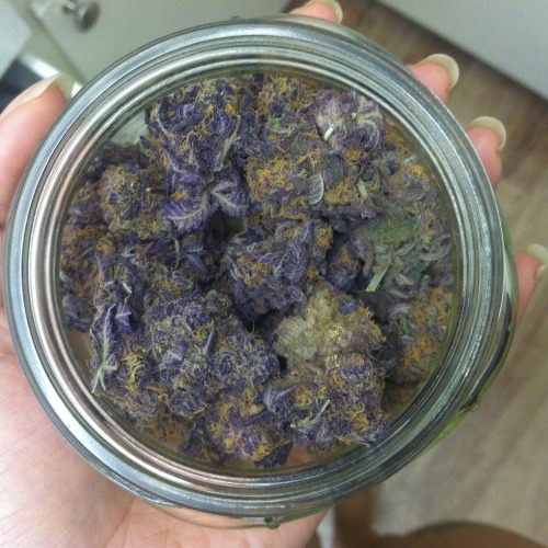 PURP