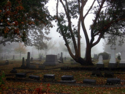 SIGHT OF THE TOMBS