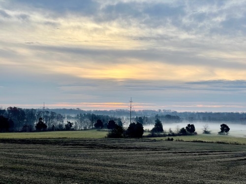 Good Morning Tumblr. #landscape#photography#pennsylvania #shot on iphone