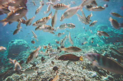 man-and-camera: Indonesian Ocean -> Luke Gram Instagram: @lukegram