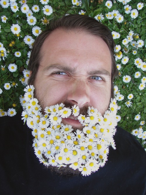 obviouslycloe:  I gave this asshole a flower beard.  gingerbeard-viking 😁😁