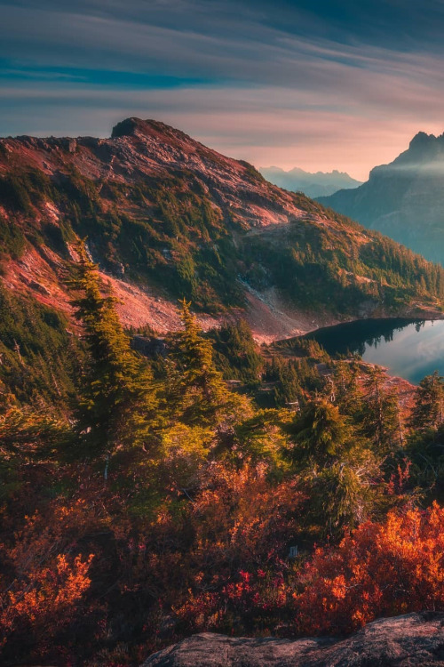 lsleofskye:    "Autumn in the Alpine" 🍂 | calibreusLocation: Vancouver Island, British Columbia, Canada