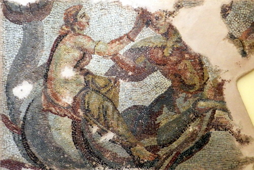 Lesser known mosaics from local museums off the beaten track in Greece are included in this fully il