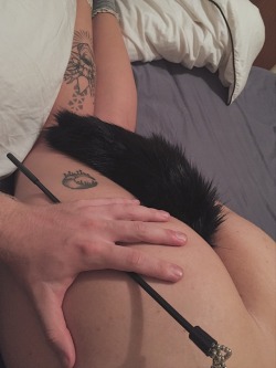 Liddle-Slut:  Before And After Spanks Tonight With My New Tail !!   ✨ Message Me