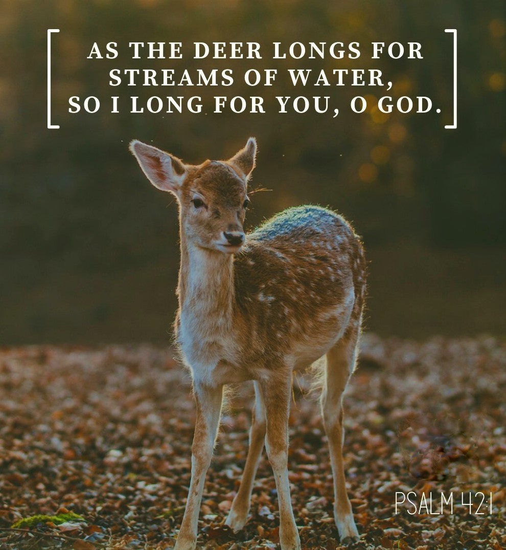 The Living 1 Chronicles 16 34 NKJV Oh Give Thanks To The the-living-1-chronicles-16-34-nkjv-oh-give-thanks-to-the