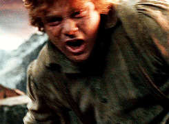 tossme:  &ldquo;You do not understand!&rdquo; said Pippin. &ldquo;You